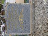 image of grave number 646676